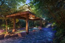 溫泉市場動態 溫泉綜合體設計類型、產品創新及發展方向