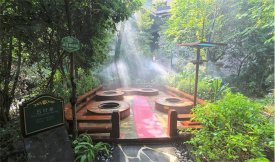 2020年新冠疫情對中國溫泉旅游行業的影響評估